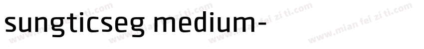 sungticseg medium字体转换